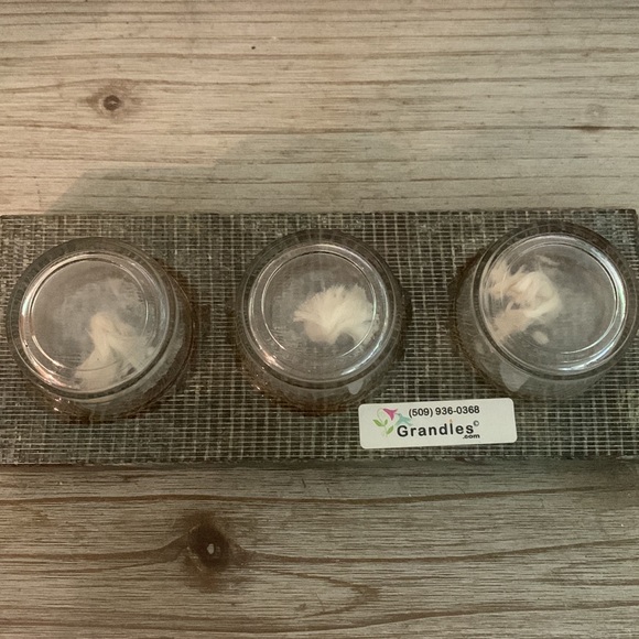 Grandle- Oil burning candle - Picture 3 of 7